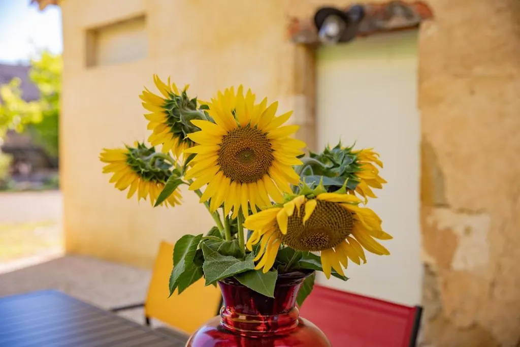 Domaine De Laplan Bed & Breakfast Cezan 0*,